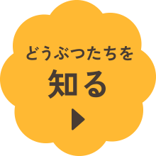 どうぶつたちを知る