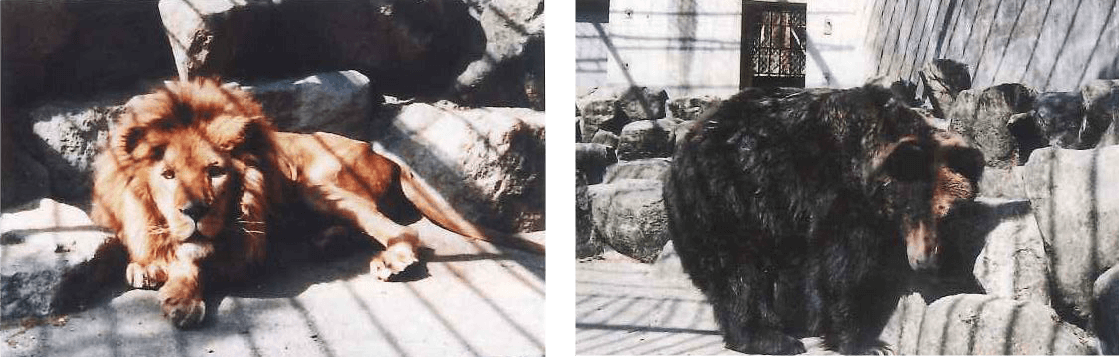 5月5日 飯田市動物園オープン