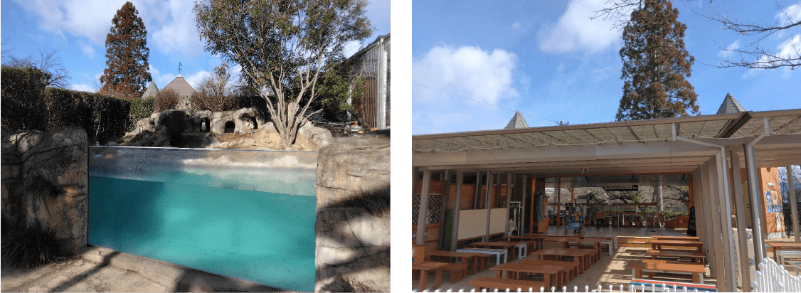 変わり続ける動物園